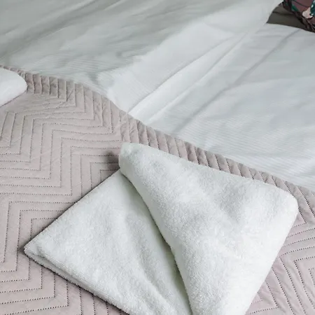 דירה Very Berry - Katowicka 2c - Z Balkonem I Garazem- Self Check In 24h *