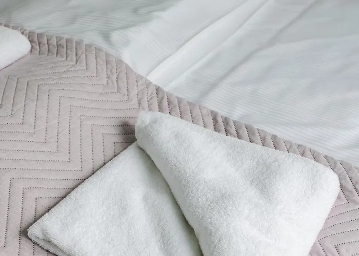 Apartamento Very Berry - Katowicka 2c - Z Balkonem I Garazem- Self Check In 24h *